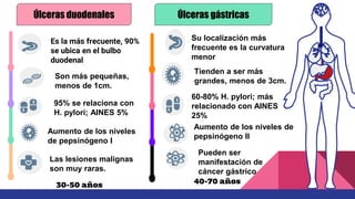 Es la más frecuente, 90%
se ubica en el bulbo
duodenal
Son más pequeñas,
menos de 1cm.
95% se relaciona con
H. pylori; AINES 5%
Las lesiones malignas
son muy raras.
Su localización más
frecuente es la curvatura
menor
60-80% H. pylori; más
relacionado con AINES
25%
Pueden ser
manifestación de
cáncer gástrico
Úlceras duodenales Úlceras gástricas
Aumento de los niveles de
pepsinógeno II
30-50 años 40-70 años
Tienden a ser más
grandes, menos de 3cm.
Aumento de los niveles
de pepsinógeno I
 