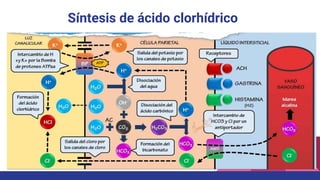 Síntesis de ácido clorhídrico
 