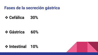 Fases de la secreción gástrica
❖ Cefálica 30%
❖ Gástrica 60%
❖ Intestinal 10%
 