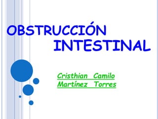 OBSTRUCCIÓN
Cristhian Camilo
Martínez Torres
INTESTINAL
 
