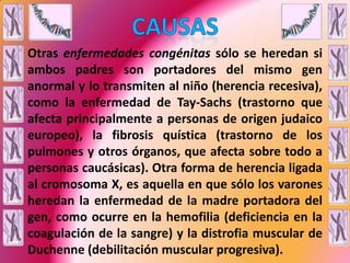 CAUSAS	Otras enfermedades congénitas sólo se heredan si ambos padres son portadores del mismo gen anormal y lo transmiten al niño (herencia recesiva), como la enfermedad de Tay-Sachs (trastorno que afecta principalmente a personas de origen judaico europeo), la fibrosis quística (trastorno de los pulmones y otros órganos, que afecta sobre todo a personas caucásicas). Otra forma de herencia ligada al cromosoma X, es aquella en que sólo los varones heredan la enfermedad de la madre portadora del gen, como ocurre en la hemofilia (deficiencia en la coagulación de la sangre) y la distrofia muscular de Duchenne (debilitación muscular progresiva). 