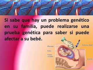 	Si sabe que hay un problema genético en su familia, puede realizarse una prueba genética para saber si puede afectar a su bebé.