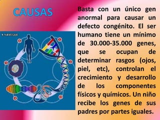 	Basta con un único gen anormal para causar un defecto congénito. El ser humano tiene un mínimo de 30.000-35.000 genes, que se ocupan de determinar rasgos (ojos, piel, etc), controlan el crecimiento y desarrollo de los componentes físicos y químicos. Un niño recibe los genes de sus padres por partes iguales. CAUSAS
