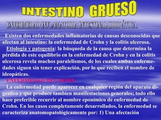 Existen dos enfermedades inflamatorias de causas desconocidas que
afectan al intestino: la enfermedad de Crohn y la colitis ulcerosa.
Etiología y patogenia: la búsqueda de la causa que determina la
pérdida de este equilibrio en la enfermedad de Crohn y en la colitis
ulcerosa revela muchos paralelismos, de los cuales ambas enferme-
dades siguen sin tener explicación, por lo que reciben el nombre de
ideopáticas.
ENFERMEDAD DE CROHN.
La enfermedad puede aparecer en cualquier región del aparato di-
gestivo y que produce tambien manifestaciones generales; todo ello
hace preferible recurrir al nombre eponímico de enfermedad de
Crohn. En los casos completamente desarrollados, la enfermedad se
caracteriza anatomopatológicamente por: 1) Una afectación
 
