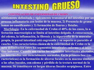 CONTINUACIÓN DE ENFERMEDAD DE CROHN ..…
nítidamente delimitada y típicamente transmural del intestino por un
proceso inflamatorio con lesión de la mucosa, 2) Presencia de granu-
lomas no caseificantes y 3) formación de fisuras y fístulas.
Morfología: En la enfermedad de Crohn el 40% de los casos, la a-
fectación macroscópica se limita al intestino delgado. A consecuencia
del edema, la inflamación, la fibrosis y la hipertrofia de la muscular
propia, la pared intestinal está engrosada y su aspecto es parecido al
caucho. Una característica clásica de la enfermedad de Crohn es la
neta delimitación entre los segmentos intestinales enfermo y el intes-
tino indemne. Cuando son varios los segmentos intestinales afectados,
los intermedios son esencialmente normales. En la primera fase (ca-
racterísticas) es la formación de úlceras focales en la mucosa similares
a las aftas bucales, con edema y pérdida de la textura normal de la
mucosa. Se constituyen en largas úlceras lineales serpiginosa. Entre
 