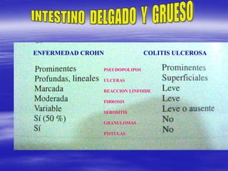 PSEUDOPOLIPOS
ULCERAS
REACCION LINFOIDE
FIBROSIS
SEROSITIS
GRANULOMAS
FISTULAS
ENFERMEDAD CROHN COLITIS ULCEROSA
 