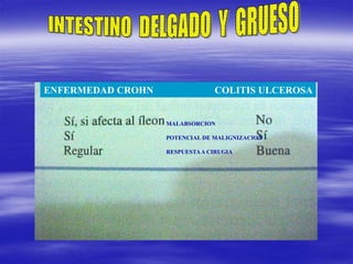 MALABSORCION
POTENCIAL DE MALIGNIZACION
RESPUESTAA CIRUGIA
ENFERMEDAD CROHN COLITIS ULCEROSA
 