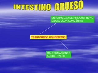 TRASTORNOS CONGÈNITOS
ENFERMEDAD DE HIRSCHSPRUNG
MEGACOLON CONGÈNITO
MALFORMACIONES
ANORECTALES
 