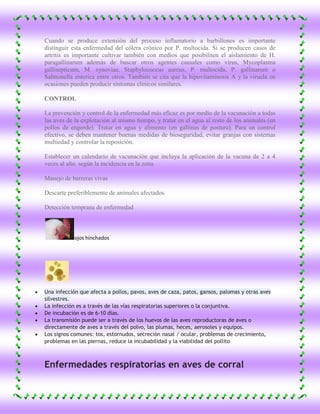 Cuando se produce extensión del proceso inflamatorio a barbillones es importante
distinguir esta enfermedad del cólera crónico por P. multocida. Si se producen casos de
artritis es importante cultivar también con medios que posibiliten el aislamiento de H.
paragallinarum además de buscar otros agentes causales como virus, Mycoplasma
gallisepticum, M. synoviae, Staphylococcus aureus, P. multocida, P. gallinarum o
Salmonella enterica entre otros. También se cita que la hipovitaminosis A y la viruela en
ocasiones pueden producir síntomas clínicos similares.

CONTROL

La prevención y control de la enfermedad más eficaz es por medio de la vacunación a todas
las aves de la explotación al mismo tiempo, y tratar en el agua al resto de los animales (en
pollos de engorde). Tratar en agua y alimento (en gallinas de postura). Para un control
efectivo, se deben mantener buenas medidas de bioseguridad, evitar granjas con sistemas
multiedad y controlar la reposición.

Establecer un calendario de vacunación que incluya la aplicación de la vacuna de 2 a 4
veces al año. según la incidencia en la zona.

Manejo de barreras vivas

Descarte preferiblemente de animales afectados

Detección temprana de enfermedad



           ojos hinchados




Una infección que afecta a pollos, pavos, aves de caza, patos, gansos, palomas y otras aves
silvestres.
La infección es a través de las vías respiratorias superiores o la conjuntiva.
De incubación es de 6-10 días.
La transmisión puede ser a través de los huevos de las aves reproductoras de aves o
directamente de aves a través del polvo, las plumas, heces, aerosoles y equipos.
Los signos comunes: tos, estornudos, secreción nasal / ocular, problemas de crecimiento,
problemas en las piernas, reduce la incubabilidad y la viabilidad del pollito



Enfermedades respiratorias en aves de corral
 