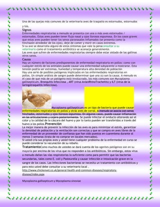 Una de las quejas más comunes de la veterinaria aves de traspatio es estornudos, estornudos
y tos.
Signos
Enfermedades respiratorias a menudo se presenta con una o más aves estornudos /
estornudos. Estas aves pueden tener flujo nasal y ojos llorosos espumosa. En los casos graves
que estas aves pueden tener los senos paranasales inflamados (se presenta como la
hinchazón alrededor de los ojos), deje de comer y morir en casos extremos.
Si su ave se desarrolla alguno de estos síntomas que vale la penaconsultar a su
veterinario como el tratamiento antibiótico se aconseja generalmente.
Las aves que sufren de enfermedades respiratorias siempre debe estar aislado de las gallinas
otros sanos.
Causa
Hay un número de factores predisponentes de enfermedad respiratoria en pollos: como con
cualquier estrés de los animales puede causar una enfermedad subyacente a mostrarse. Esta
tensión podría ser extremas, humedad y temperatura alta densidad de población
Hay una serie de posibles patógenos implicados en las enfermedades respiratorias en
pollos. Un simple análisis de sangre puede determinar que una (s) son la causa. A menudo es
el caso de que más de un patógeno está involucrado, los más comunes son Mycoplasma
gallisepticum, Bronquitis Infecciosa , ART (virus AvianRhinoTracheitis) y ILT (virus de la
laringotraqueitis infecciosa).




                         Mycoplasma gallisepticum es un tipo de bacteria que puede causar
enfermedades respiratorias en pollos y otras aves de corral. A menudo se asocia con senos
hinchados, estornudos y ojos llorosos espumosa. En algunos casos, puede causar inflamación
en las articulaciones y cojera posteriormente. Se puede infectar el oviducto alterando así el
color y la calidad de la cáscara del huevo y por lo tanto pueden ser transferidos a través del
huevo a los pollos.Prevención
La mejor manera de prevenir la infección de las aves es para minimizar el estrés, garantizar
la densidad de población y la ventilación son correctas y que se compra en aves libres de la
enfermedad de un proveedor de confianza que han sido puestos en cuarentena durante al
menos 3 semanas (trata de no comprar en locales mercados).
Si usted cría sus propias aves y usted tiene cualquier problema de la enfermedad en curso se
puede considerar la vacunación de su rebaño.
TratamientoComo muchos de ustedes se dará cuenta de los agentes patógenos son en su
mayoría por encima de los virus que no responden a los antibióticos. Sin embargo, estos virus
a menudo dañan las vías respiratorias lo suficiente como para permitir que las bacterias
secundarias, tales como E. coli y Pasteurella y causar infección e intoxicación grave en la
sangre de los casos. Las infecciones bacterianas se necesita un tratamiento con antibióticos y
para esto usted debe consultar a su veterinario local .
http://www.chickenvet.co.uk/general-health-and-common-diseases/respiratory-
disease/index.aspx

Mycoplasma gallisepticum y Mycoplasma sinoviae
 