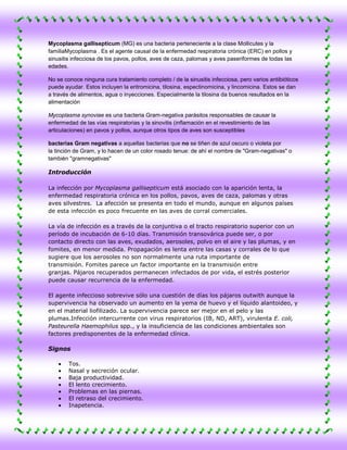 Mycoplasma gallisepticum (MG) es una bacteria perteneciente a la clase Mollicutes y la
familiaMycoplasma . Es el agente causal de la enfermedad respiratoria crónica (ERC) en pollos y
sinusitis infecciosa de los pavos, pollos, aves de caza, palomas y aves paseriformes de todas las
edades.

No se conoce ninguna cura tratamiento completo / de la sinusitis infecciosa, pero varios antibióticos
puede ayudar. Estos incluyen la eritromicina, tilosina, espectinomicina, y lincomicina. Estos se dan
a través de alimentos, agua o inyecciones. Especialmente la tilosina da buenos resultados en la
alimentación

Mycoplasma synoviae es una bacteria Gram-negativa parásitos responsables de causar la
enfermedad de las vías respiratorias y la sinovitis (inflamación en el revestimiento de las
articulaciones) en pavos y pollos, aunque otros tipos de aves son susceptibles

bacterias Gram negativas a aquellas bacterias que no se tiñen de azul oscuro o violeta por
la tinción de Gram, y lo hacen de un color rosado tenue: de ahí el nombre de "Gram-negativas" o
también "gramnegativas"

Introducción

La infección por Mycoplasma gallisepticum está asociado con la aparición lenta, la
enfermedad respiratoria crónica en los pollos, pavos, aves de caza, palomas y otras
aves silvestres. La afección se presenta en todo el mundo, aunque en algunos países
de esta infección es poco frecuente en las aves de corral comerciales.

La vía de infección es a través de la conjuntiva o el tracto respiratorio superior con un
período de incubación de 6-10 días. Transmisión transovárica puede ser, o por
contacto directo con las aves, exudados, aerosoles, polvo en el aire y las plumas, y en
fomites, en menor medida. Propagación es lenta entre las casas y corrales de lo que
sugiere que los aerosoles no son normalmente una ruta importante de
transmisión. Fomites parece un factor importante en la transmisión entre
granjas. Pájaros recuperados permanecen infectados de por vida, el estrés posterior
puede causar recurrencia de la enfermedad.

El agente infeccioso sobrevive sólo una cuestión de días los pájaros outwith aunque la
supervivencia ha observado un aumento en la yema de huevo y el líquido alantoideo, y
en el material liofilizado. La supervivencia parece ser mejor en el pelo y las
plumas.Infección intercurrente con virus respiratorios (IB, ND, ART), virulenta E. coli,
Pasteurella Haemophilus spp., y la insuficiencia de las condiciones ambientales son
factores predisponentes de la enfermedad clínica.

Signos

        Tos.
        Nasal y secreción ocular.
        Baja productividad.
        El lento crecimiento.
        Problemas en las piernas.
        El retraso del crecimiento.
        Inapetencia.
 
