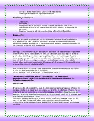 Reducción de los nacimientos y la viabilidad del pollito.
       Encefalopatía ocasionales y plumas anormales.

Lesiones post mortem

       Aerosaculitis.
       Pericarditis.
       Perihepatitis (especialmente con una infección secundaria de E. coli).
       Inflamación catarral de las vías nasales, los senos nasales, la tráquea y los
       bronquios.
       De vez en cuando la artritis, tenosinovitis y salpingitis en los pollos.

Diagnóstico

Lesiones, serología, aislamiento e identificación del organismo, la demostración de
ADN específico (PCR kit comercial disponible). Cultura requiere la inoculación de
embriones libres de micoplasma, o más comúnmente en caldo de Mycoplasma seguido
del cultivo en placas de agar micoplasma.



Serología: aglutinación del suero es la prueba estándar, las reacciones de sospecha se
examinan más por la inactivación por calor y / o dilución. Elisa es aceptado como la
prueba de detección primaria en algunos países. HI se puede utilizar, por lo general
como una prueba de confirmación. Parvadas sospechosas se debe volver a la muestra
después de 2-3 semanas. Algunas vacunas inactivadas para otras enfermedades
inducir falsos positivos en pruebas serológicas para 3-8 semanas. PCR es posible si es
urgente determinar el estado de rebaño.

Diferenciarse de la coriza infecciosa, aspergilosis, enfermedades respiratorias virales,
la deficiencia de vitamina A, otras infecciones
de Mycoplasma, como M. synoviae y M.meleagridis (pavos).

TratamientoTilmicosina, tilosina, espiramicina, las tetraciclinas,
fluoroquinolonas. Debería hacerse lo posible para reducir el polvo y las
infecciones secundarias.

Prevención

Erradicación de esta infección ha sido el objetivo central de los programas oficiales de
sanidad avícola en la mayoría de los países, por lo tanto, el estado de infección Mg es
importante para el comercio de aves, hatchingeggs y polluelos. Estos programas se
basan en la compra de pollos infectados, la producción de all-in/all-out, la bioseguridad
y la vigilancia serológica de rutina.
Atenuados o cepas naturalmente leves se utilizan en algunos países y puede ser útil
para poco a poco desplazando a las cepas de campo de distintas edades. La
productividad en las aves vacunadas y desafió no es tan buena como en Mg-libres de
derechos.
 