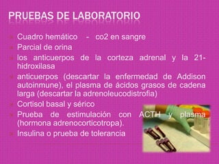 Pruebas de laboratorioCuadro hemático    -   co2 en sangreParcial de orina los anticuerpos de la corteza adrenal y la 21-hidroxilasa anticuerpos (descartar la enfermedad de Addison autoinmune), el plasma de ácidos grasos de cadena larga (descartar la adrenoleucodistrofia)Cortisol basal y séricoPrueba de estimulación con ACTH y plasma (hormona adrenocorticotropa).Insulina o prueba de tolerancia