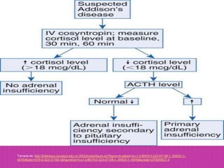 Tomada de :http://biblioteca.fucsalud.edu.co:2052/books/figure.do?figure=true&eid=4-u1.0-B978-0-323-07158-1..00003-1--s0750&isbn=978-0-323-07158-1&figureEid=4-u1.0-B978-0-323-07158-1..00003-1--f0040&uniqId=270055627-3