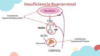 Enfermedad de Addison 