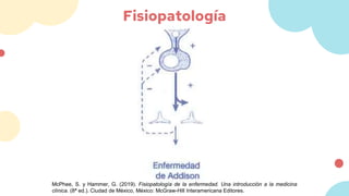 Enfermedad de Addison 