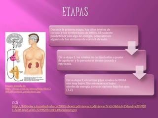 DHEALa dehidroepiandrosterona (DHEA) es una hormona endógena (que se produce en el cuerpo humano) y que se segrega a través de la glándula suprarrenal.La DHEA funciona como precursor de las hormonales sexuales masculinas y femeninas (andrógenos y estrógenos). Los niveles de esta hormona en el cuerpo comienzan a disminuir después de los 30 años y se ha reportado que éstos son bajos en algunas personas con anorexia, enfermedades renales en etapa terminal, diabetes tipo 2 (diabetes que no depende de la insulina), SIDA, insuficiencia suprarrenal y en pacientes gravemente enfermos. Los niveles de DHEA también se pueden reducir de forma drástica por un determinado tipo de drogas, entre las que se incluyen la insulina, los corticosteroides, los opiáceos y el danazol. (8)Imagen tomada de: http://www.dijon-sante.fr/wp-content/uploads/2010/03/dhea.gif(8)1. http://www.nlm.nih.gov/medlineplus/spanish/druginfo/natural/patient-dhea.html