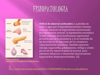 Las glándulas suprarrenales segregan adrenalina cuando necesitamos ejecutar, cumplir con un plazo, o dar una presentación.