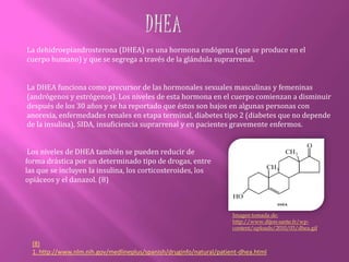  Segregan el cortisol para mantener el cuerpo pasando por debajo de largos períodos de estrés, inflamación o infección.