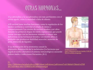  Sin embargo, durante períodos de estrés  y si no hay buena alimentación, descanso y recuperación, las glándulas no podrán mantener plenamente la energía, la función del órgano, la función inmune, y la prevención de la inflamación. (1.1)Imagentomada de: www.clinicadam.com/graphics/images/es/8719.jpg1.1http://biblioteca.fucsalud.edu.co:2080/ehost/pdfviewer/pdfviewer?vid=5&hid=15&sid=e3769201-3a20-46ed-a0a3-323982f31c04%40sessionmgr4