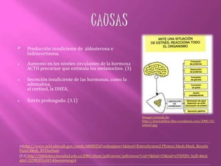 FISIOPATOLOGIADéficit de mineral corticoides. La pérdida de sodio y agua por el hipoaldosteronismo reinante, crea una situación de hipovolemia caracterizada por hipotensión arterial. La hipotensión ortostática es más marcada en la insuficiencia suprarrenal primaria que en la secundaria, y es el resultado de un descenso en la expresión de los receptores catecolamínicos vasculares. También aparecen síncope, taquicardia, palpitaciones, vértigo y avidez por la sal. En reposo el pulso es normal, pero mínimos esfuerzos o emociones desencadenan taquicardias desproporcionadas. (2)Imagen tomada de: www.kalipedia.com/kalipediamedia/cienciasnatu... (2)http://scielo.isciii.es/scielo.php?pid=S0212-71992001000900011&script=sci_arttext&tlng=es