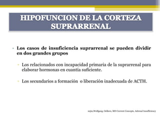 • Los casos de insuficiencia suprarrenal se pueden dividir
en dos grandes grupos
▫ Los relacionados con incapacidad primaria de la suprarrenal para
elaborar hormonas en cuantía suficiente.
▫ Los secundarios a formación o liberación inadecuada de ACTH.
nejm,Wolfgang, Oelkers, MD Current Concepts, Adrenal Insufficiency
 