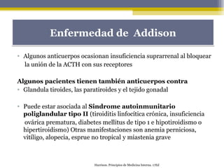 • Algunos anticuerpos ocasionan insuficiencia suprarrenal al bloquear
la unión de la ACTH con sus receptores
Algunos pacientes tienen también anticuerpos contra
• Glandula tiroides, las paratiroides y el tejido gonadal
• Puede estar asociada al Sindrome autoinmunitario
poliglandular tipo II (tiroiditis linfocítica crónica, insuficiencia
ovárica prematura, diabetes mellitus de tipo 1 e hipotiroidismo o
hipertiroidismo) Otras manifestaciones son anemia perniciosa,
vitíligo, alopecia, esprue no tropical y miastenia grave
Enfermedad de AddisonEnfermedad de Addison
Harrison. Principios de Medicina Interna. 17Ed
 