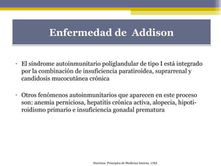 • El síndrome autoinmunitario poliglandular de tipo I está integrado
por la combinación de insuficiencia paratiroidea, suprarrenal y
candidosis mucocutánea crónica
• Otros fenómenos autoinmunitarios que aparecen en este proceso
son: anemia perniciosa, hepatitis crónica activa, alopecia, hipoti-
roidismo primario e insuficiencia gonadal prematura
Enfermedad de AddisonEnfermedad de Addison
Harrison. Principios de Medicina Interna. 17Ed
 