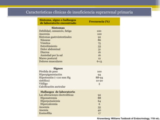 Características clínicas de insuficiencia suprarrenal primariaCaracterísticas clínicas de insuficiencia suprarrenal primaria
Síntoma, signo o hallazgos
de laboratorio encontrado
Frecuencia (%)
Síntomas
Debilidad, cansancio, fatiga
Anorexia
Síntomas gastrointestinales
Náuseas
Vómitos
Estreñimiento
Dolor abdominal
Diarrea
Ansiedad por la sal
Mareo postural
Dolores musculares
100
100
92
86
75
33
31
16
16
12
6-13
Signos
Pérdida de peso
Hiperpigmentación
Hipotensión (<110 mm Hg
sistólica)
Vitíligo
Calcificación auricular
100
94
88-94
10-20
5
Hallazgos de laboratorio
Las alteraciones electrolíticas
Hiponatremia
Hiperpotasiemia
Hipercalcemia
Azoemia
Anemia
Eosinofilia
92
88
64
6
55
40
17
Kronenberg: Williams Textbook of Endocrinology, 11th ed.
 