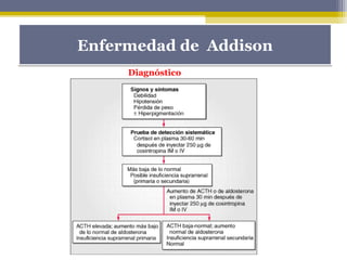 Enfermedad de AddisonEnfermedad de Addison
Diagnóstico
 