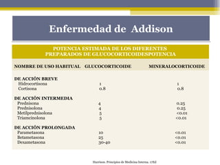 POTENCIA ESTIMADA DE LOS DIFERENTES
PREPARADOS DE GLUCOCORTICOIDESPOTENCIA
NOMBRE DE USO HABITUAL GLUCOCORTICOIDE MINERALOCORTICOIDE
DE ACCIÓN BREVE
Hidrocortisona 1 1
Cortisona 0.8 0.8
DE ACCIÓN INTERMEDIA
Prednisona 4 0.25
Prednisolona 4 0.25
Metilprednisolona 5 <0.01
Triamcinolona 5 <0.01
DE ACCIÓN PROLONGADA
Parametasona 10 <0.01
Betametasona 25 <0.01
Dexametasona 30-40 <0.01
Enfermedad de AddisonEnfermedad de Addison
Harrison. Principios de Medicina Interna. 17Ed
 