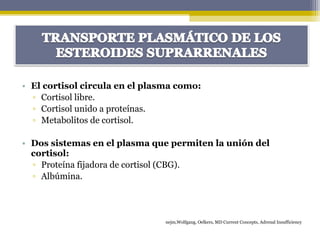 • El cortisol circula en el plasma como:
▫ Cortisol libre.
▫ Cortisol unido a proteínas.
▫ Metabolitos de cortisol.
• Dos sistemas en el plasma que permiten la unión del
cortisol:
▫ Proteína fijadora de cortisol (CBG).
▫ Albúmina.
nejm,Wolfgang, Oelkers, MD Current Concepts, Adrenal Insufficiency
 
