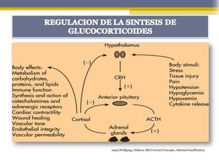 nejm,Wolfgang, Oelkers, MD Current Concepts, Adrenal Insufficiency
 