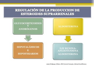 nejm,Wolfgang, Oelkers, MD Current Concepts, Adrenal Insufficiency
 