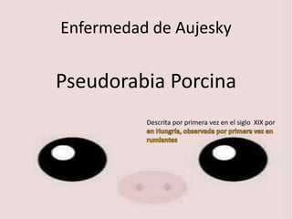 Enfermedad de Aujesky
Pseudorabia Porcina
Descrita por primera vez en el siglo XIX por
 