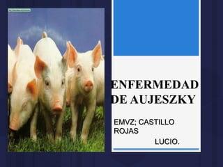 ENFERMEDAD 
DE AUJESZKY 
EMVZ; CASTILLO 
ROJAS 
LUCIO. 
 