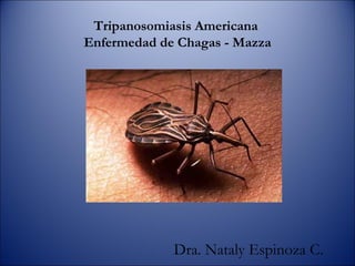 Tripanosomiasis Americana  Enfermedad de Chagas - Mazza Dra. Nataly Espinoza C. 