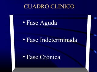 CUADRO CLINICO
• Fase Aguda
• Fase Indeterminada
• Fase Crónica
 
