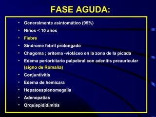 FASE AGUDA:
• Generalmente asintomático (95%)
• Niños < 10 años
• Fiebre
• Síndrome febril prolongado
• Chagoma ; eritema -violáceo en la zona de la picada
• Edema periorbitario palpebral con adenitis preauricular
(signo de Romaña)
• Conjuntivitis
• Edema de hemicara
• Hepatoesplenomegalia
• Adenopatías
• Orquiepididimitis
 