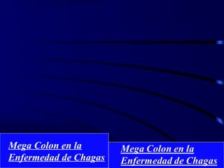 Megacolon en la
Enfermedad deChagas.
Megacolon en la
Enfermedad deChagas.
Megacolon en la Enfermedad de
Chagas.
Megacolon en la Enfermedad de
Chagas.
Mega Colon en la
Enfermedad de Chagas
 