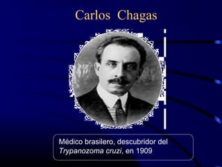 Carlos Chagas
Médico brasilero, descubridor del
Trypanozoma cruzi, en 1909
 