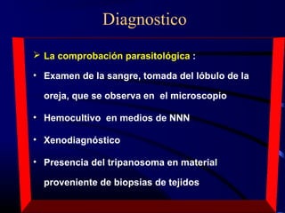 Diagnostico
 La comprobación parasitológica :
• Examen de la sangre, tomada del lóbulo de la
oreja, que se observa en el microscopio
• Hemocultivo en medios de NNN
• Xenodiagnóstico
• Presencia del tripanosoma en material
proveniente de biopsias de tejidos
 