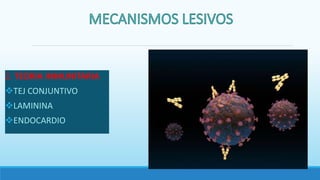 2. TEORIA INMUNITARIA
TEJ CONJUNTIVO
LAMININA
ENDOCARDIO
 