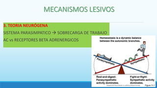 3. TEORIA NEURÓGENA
SISTEMA PARASIMPATICO  SOBRECARGA DE TRABAJO
AC vs RECEPTORES BETA ADRENERGICOS
 