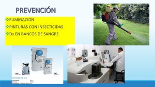 FUMIGACIÓN
PINTURAS CON INSECTICIDAS
Dx EN BANCOS DE SANGRE
 