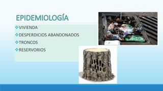 VIVIENDA
DESPERDICIOS ABANDONADOS
TRONCOS
RESERVORIOS
 