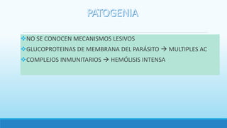 NO SE CONOCEN MECANISMOS LESIVOS
GLUCOPROTEINAS DE MEMBRANA DEL PARÁSITO  MULTIPLES AC
COMPLEJOS INMUNITARIOS  HEMÓLISIS INTENSA
 