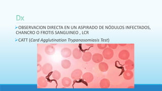 OBSERVACION DIRECTA EN UN ASPIRADO DE NÓDULOS INFECTADOS,
CHANCRO O FROTIS SANGUINEO , LCR
CATT (Card Agglutination Trypanosomiasis Test)
 