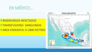 RESERVORIOS INFECTADOS
TRANSFUSIONES SANGUINEAS
AREA ENDEMICA: 0-1800 METROS
 