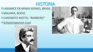 LASSANCE EN MINAS GERAES, BRASIL.
MALARIA, BOCIO.
CANTARITO MOTTA; “BARBEIRO”
Schyzotrypanum cruzi
 